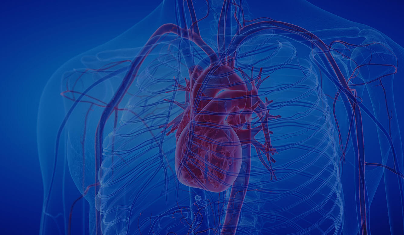 Minimally Invasive Approach To The Dilated Aortic Root